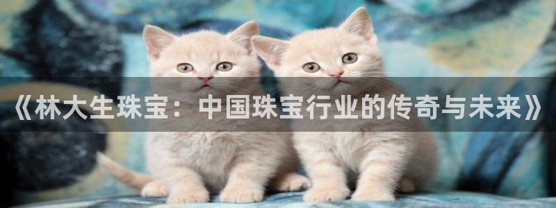 新航新客舱机上娱乐银：《林大生珠宝：中国珠宝行业的传奇与未来