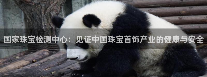 娱乐新航母：国家珠宝检测中心：见证中国珠宝首饰产业的健康与安
