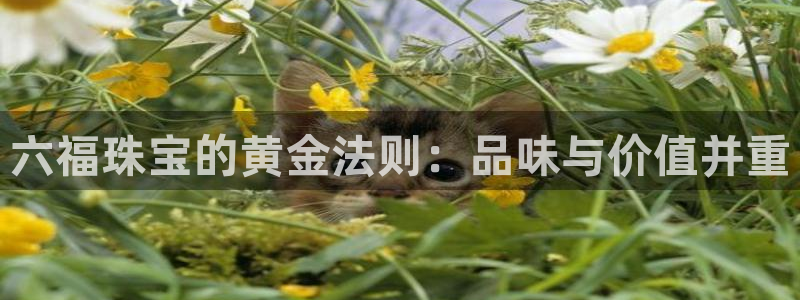 新航娱乐扣款：六福珠宝的黄金法则：品味与价值并重