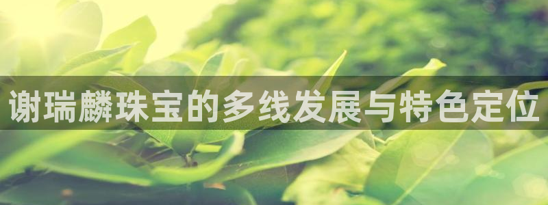 新航娱乐黑：谢瑞麟珠宝的多线发展与特色定位