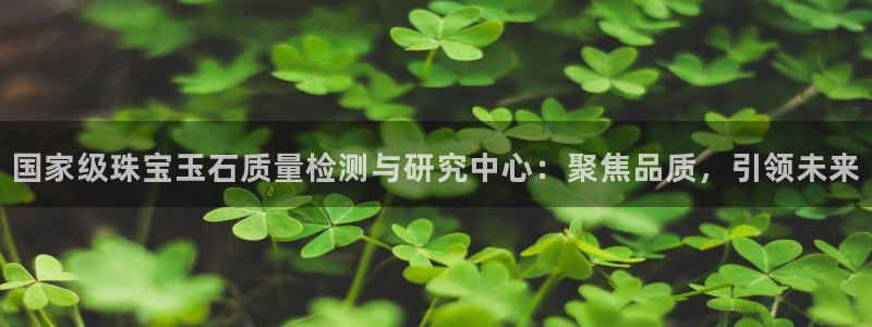 新航娱乐开户：国家级珠宝玉石质量检测与研究中心：聚焦品质，引