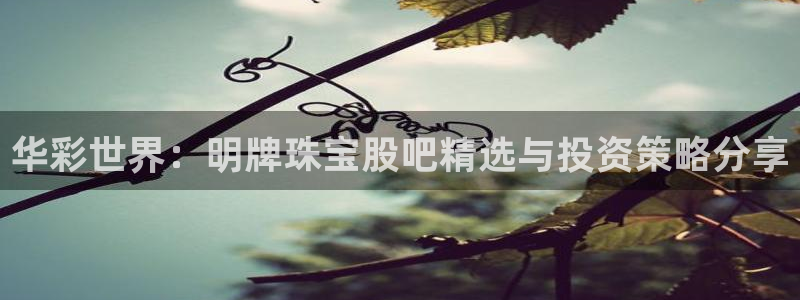 新航娱乐管理有限公司：华彩世界：明牌珠宝股吧精选与投资策略分