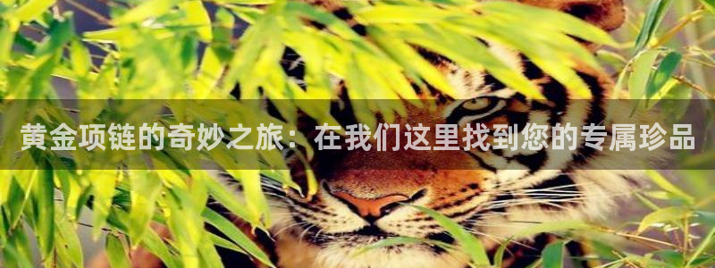 娱乐界的新航母：黄金项链的奇妙之旅：在我们这里找到您的专属珍