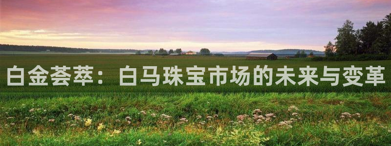 新航娱乐传媒招聘电话