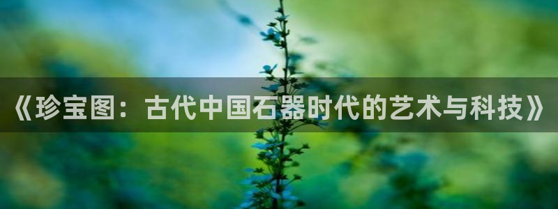 新航娱乐公司简介图片
