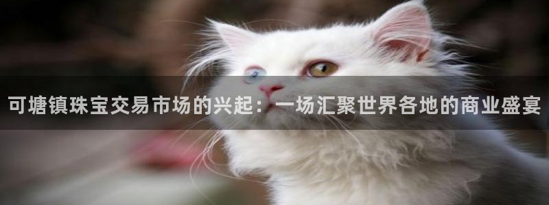 新航足浴娱乐会所：可塘镇珠宝交易市场的兴起：一场汇聚世界各地