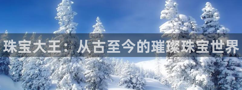 新航娱乐传媒招聘电话