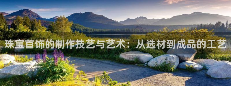新航娱乐公司简介