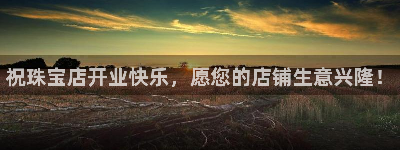 新航娱乐有限公司地址