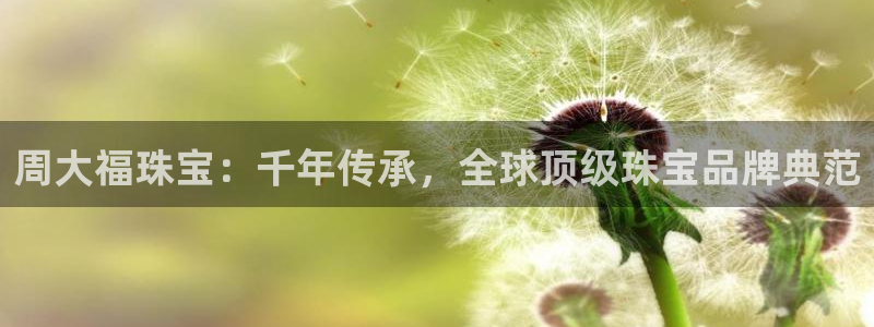 新航娱乐公司招聘