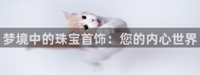 新航线娱乐会所