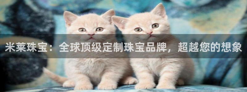 岛城娱乐新航向