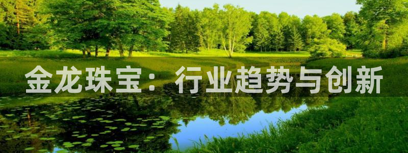 新航娱乐棋牌：金龙珠宝：行业趋势与创新