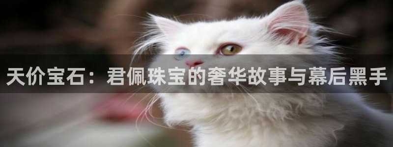 新航娱乐注册：天价宝石：君佩珠宝的奢华故事与幕后黑手