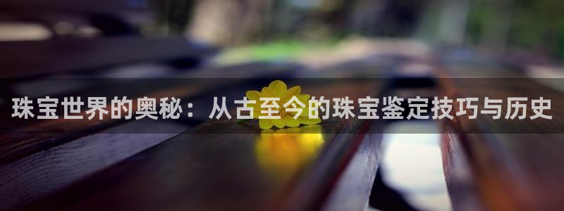 新航娱乐公司问题：珠宝世界的奥秘：从古至今的珠宝鉴定技巧与历